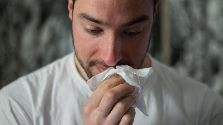 Slecht nieuws voor allergielijders: berkenpollenseizoen is nakende